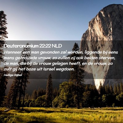 Picture 02 - Deuteronomium 22:22 NLD - Wanneer een man gevonden zal worden, liggende bij - Bible Verse Picture