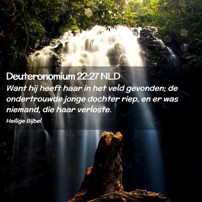 Picture 02 - Deuteronomium 22:27 NLD - Want hij heeft haar in het veld gevonden; de - Bible Verse Picture