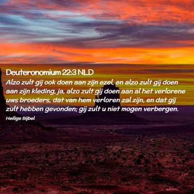 Picture 02 - Deuteronomium 22:3 NLD - Alzo zult gij ook doen aan zijn ezel, en alzo - Bible Verse Picture