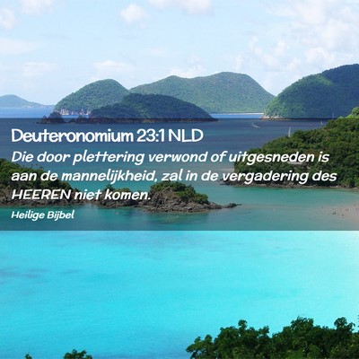 Picture 02 - Deuteronomium 23:1 NLD - Die door plettering verwond of uitgesneden is aan - Bible Verse Picture