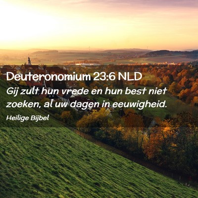 Picture 02 - Deuteronomium 23:6 NLD - Gij zult hun vrede en hun best niet zoeken, al uw - Bible Verse Picture