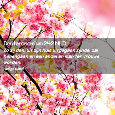 Picture 02 - Deuteronomium 24:2 NLD - Zo zij dan, uit zijn huis uitgegaan zijnde, zal - Bible Verse Picture