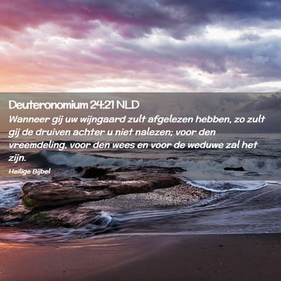 Picture 02 - Deuteronomium 24:21 NLD - Wanneer gij uw wijngaard zult afgelezen hebben, - Bible Verse Picture