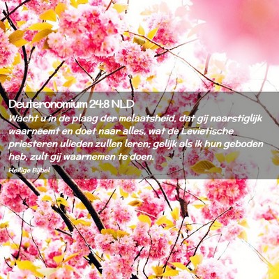Picture 02 - Deuteronomium 24:8 NLD - Wacht u in de plaag der melaatsheid, dat gij - Bible Verse Picture