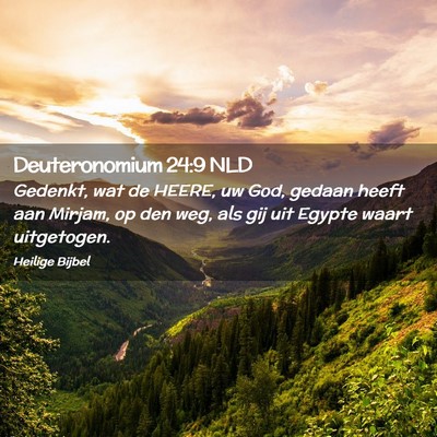 Picture 02 - Deuteronomium 24:9 NLD - Gedenkt, wat de HEERE, uw God, gedaan heeft aan - Bible Verse Picture