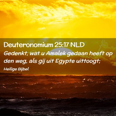 Picture 02 - Deuteronomium 25:17 NLD - Gedenkt, wat u Amalek gedaan heeft op den weg, - Bible Verse Picture