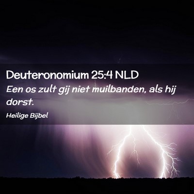 Picture 02 - Deuteronomium 25:4 NLD - Een os zult gij niet muilbanden, als hij - Bible Verse Picture