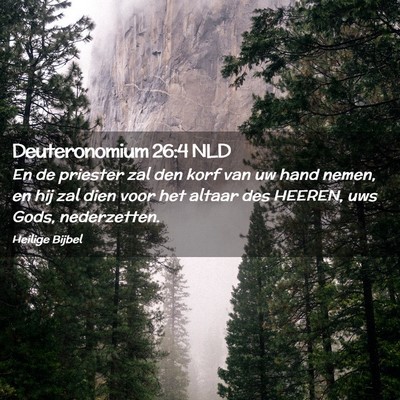 Picture 02 - Deuteronomium 26:4 NLD - En de priester zal den korf van uw hand nemen, en - Bible Verse Picture