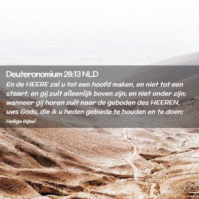 Picture 02 - Deuteronomium 28:13 NLD - En de HEERE zal u tot een hoofd maken, en niet - Bible Verse Picture