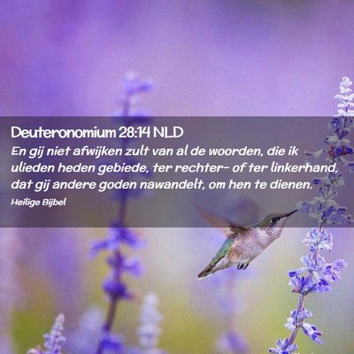 Picture 02 - Deuteronomium 28:14 NLD - En gij niet afwijken zult van al de woorden, die - Bible Verse Picture