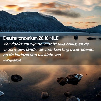 Picture 02 - Deuteronomium 28:18 NLD - Vervloekt zal zijn de vrucht uws buiks, en de - Bible Verse Picture