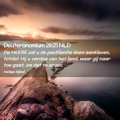 Picture 02 - Deuteronomium 28:21 NLD - De HEERE zal u de pestilentie doen aankleven, - Bible Verse Picture