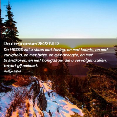 Picture 02 - Deuteronomium 28:22 NLD - De HEERE zal u slaan met tering, en met koorts, - Bible Verse Picture