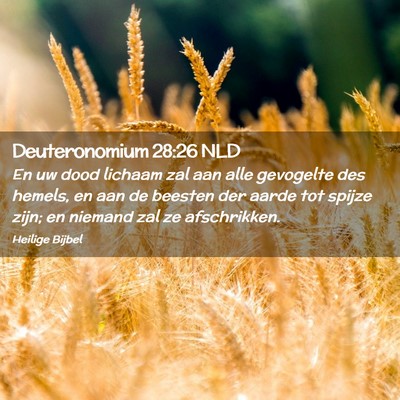 Picture 02 - Deuteronomium 28:26 NLD - En uw dood lichaam zal aan alle gevogelte des - Bible Verse Picture