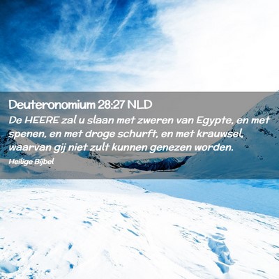 Picture 02 - Deuteronomium 28:27 NLD - De HEERE zal u slaan met zweren van Egypte, en - Bible Verse Picture