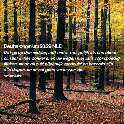 Picture 02 - Deuteronomium 28:29 NLD - Dat gij op den middag zult omtasten, gelijk als - Bible Verse Picture
