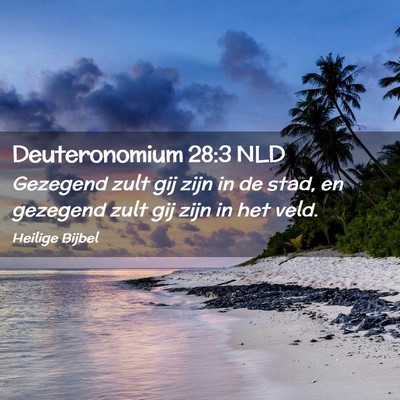 Picture 02 - Deuteronomium 28:3 NLD - Gezegend zult gij zijn in de stad, en gezegend - Bible Verse Picture