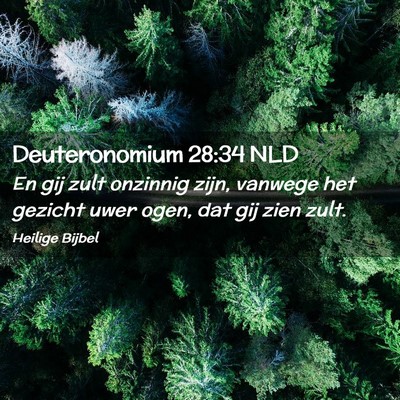 Picture 02 - Deuteronomium 28:34 NLD - En gij zult onzinnig zijn, vanwege het gezicht - Bible Verse Picture