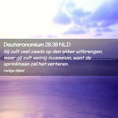 Picture 02 - Deuteronomium 28:38 NLD - Gij zult veel zaads op den akker uitbrengen, maar - Bible Verse Picture