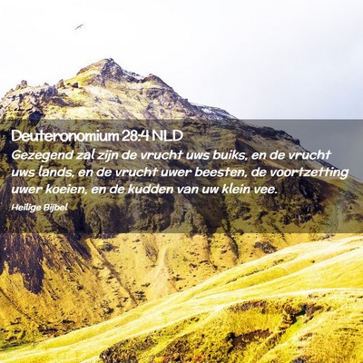 Picture 02 - Deuteronomium 28:4 NLD - Gezegend zal zijn de vrucht uws buiks, en de - Bible Verse Picture