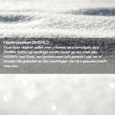 Picture 02 - Deuteronomium 28:45 NLD - En al deze vloeken zullen over u komen, en u - Bible Verse Picture