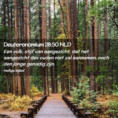 Picture 02 - Deuteronomium 28:50 NLD - Een volk, stijf van aangezicht, dat het - Bible Verse Picture