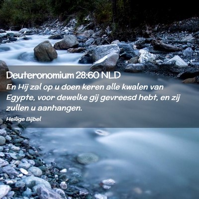 Picture 02 - Deuteronomium 28:60 NLD - En Hij zal op u doen keren alle kwalen van - Bible Verse Picture