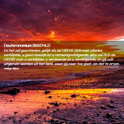 Picture 02 - Deuteronomium 28:63 NLD - En het zal geschieden, gelijk als de HEERE Zich - Bible Verse Picture