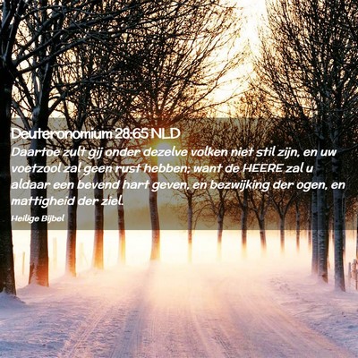Picture 02 - Deuteronomium 28:65 NLD - Daartoe zult gij onder dezelve volken niet stil - Bible Verse Picture