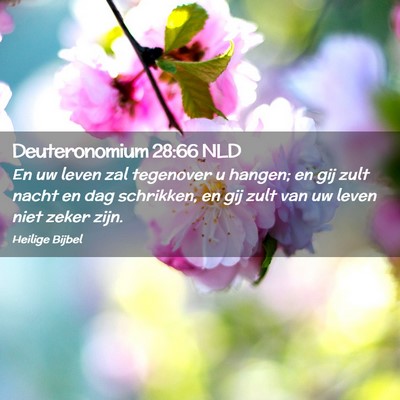 Picture 02 - Deuteronomium 28:66 NLD - En uw leven zal tegenover u hangen; en gij zult - Bible Verse Picture