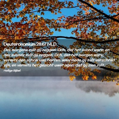 Picture 02 - Deuteronomium 28:67 NLD - Des morgens zult gij zeggen: Och, dat het avond - Bible Verse Picture