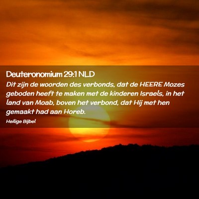 Picture 02 - Deuteronomium 29:1 NLD - Dit zijn de woorden des verbonds, dat de HEERE - Bible Verse Picture