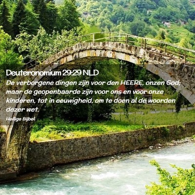 Picture 02 - Deuteronomium 29:29 NLD - De verborgene dingen zijn voor den HEERE, onzen - Bible Verse Picture