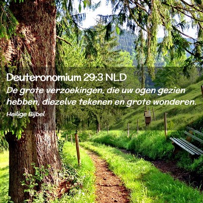 Picture 02 - Deuteronomium 29:3 NLD - De grote verzoekingen, die uw ogen gezien hebben, - Bible Verse Picture