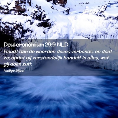 Picture 02 - Deuteronomium 29:9 NLD - Houdt dan de woorden dezes verbonds, en doet ze; - Bible Verse Picture
