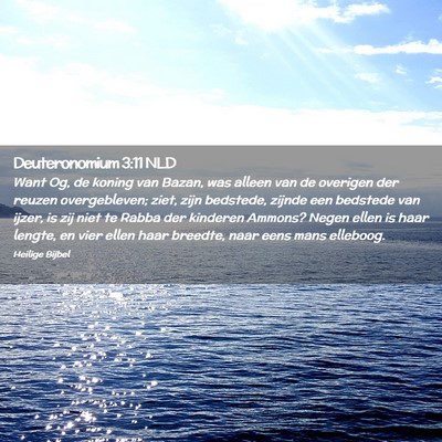 Picture 02 - Deuteronomium 3:11 NLD - Want Og, de koning van Bazan, was alleen van de - Bible Verse Picture