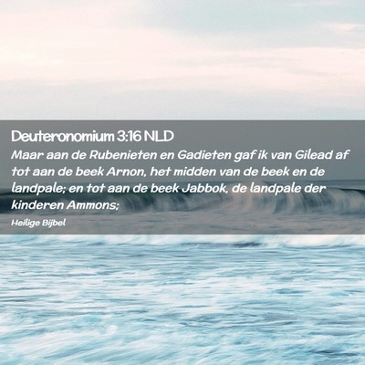 Picture 02 - Deuteronomium 3:16 NLD - Maar aan de Rubenieten en Gadieten gaf ik van - Bible Verse Picture