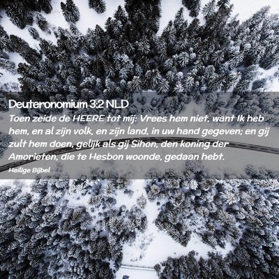 Picture 02 - Deuteronomium 3:2 NLD - Toen zeide de HEERE tot mij: Vrees hem niet, want - Bible Verse Picture