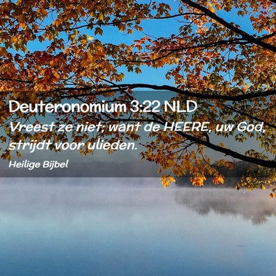 Picture 02 - Deuteronomium 3:22 NLD - Vreest ze niet; want de HEERE, uw God, strijdt - Bible Verse Picture