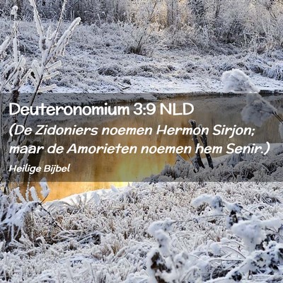 Picture 02 - Deuteronomium 3:9 NLD - (De Zidoniers noemen Hermon Sirjon; maar de - Bible Verse Picture