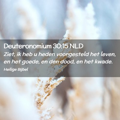 Picture 02 - Deuteronomium 30:15 NLD - Ziet, ik heb u heden voorgesteld het leven, en - Bible Verse Picture