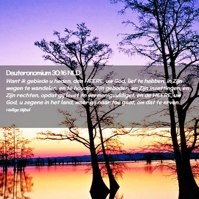 Picture 02 - Deuteronomium 30:16 NLD - Want ik gebiede u heden, den HEERE, uw God, lief - Bible Verse Picture
