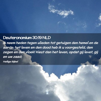 Picture 02 - Deuteronomium 30:19 NLD - Ik neem heden tegen ulieden tot getuigen den - Bible Verse Picture