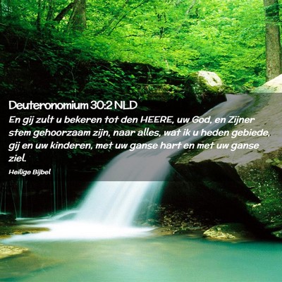 Picture 02 - Deuteronomium 30:2 NLD - En gij zult u bekeren tot den HEERE, uw God, en - Bible Verse Picture