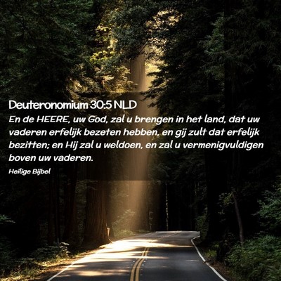 Picture 02 - Deuteronomium 30:5 NLD - En de HEERE, uw God, zal u brengen in het land, - Bible Verse Picture