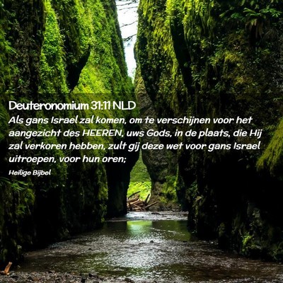 Picture 02 - Deuteronomium 31:11 NLD - Als gans Israel zal komen, om te verschijnen voor - Bible Verse Picture