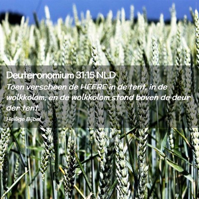 Picture 02 - Deuteronomium 31:15 NLD - Toen verscheen de HEERE in de tent, in de - Bible Verse Picture
