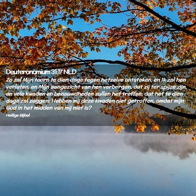 Picture 02 - Deuteronomium 31:17 NLD - Zo zal Mijn toorn te dien dage tegen hetzelve - Bible Verse Picture
