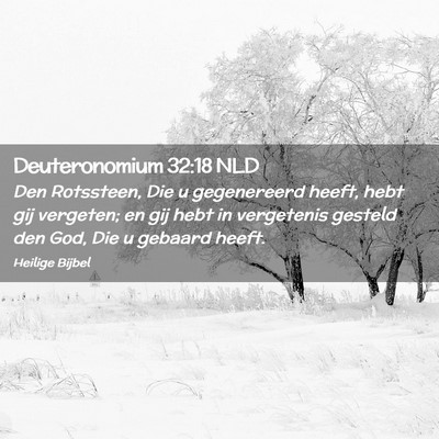 Picture 02 - Deuteronomium 32:18 NLD - Den Rotssteen, Die u gegenereerd heeft, hebt gij - Bible Verse Picture