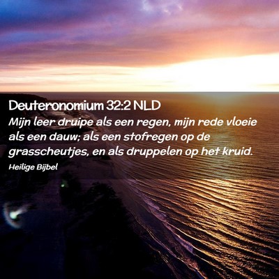 Picture 02 - Deuteronomium 32:2 NLD - Mijn leer druipe als een regen, mijn rede vloeie - Bible Verse Picture